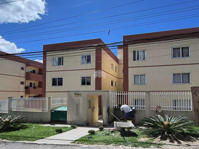 Apartamento com 2 quartos para alugar na Rua São Pedro, 307, Vila Alto da Cruz III, Colombo, 54 m2 por R$ 900