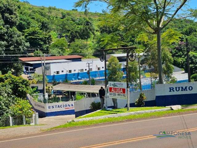 Ponto para alugar, 1500 m² por R$ 9.000,00/mês - Zona Rural - Londrina/PR