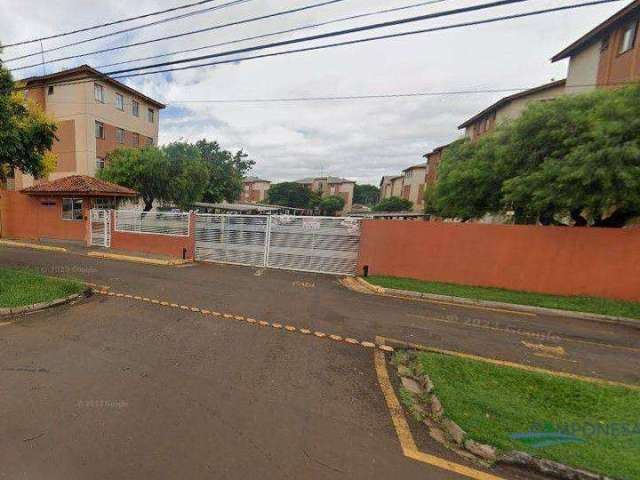 Apartamento com 2 dormitórios à venda, 51 m² por R$ 140.000,00 - Nova Olinda - Londrina/PR