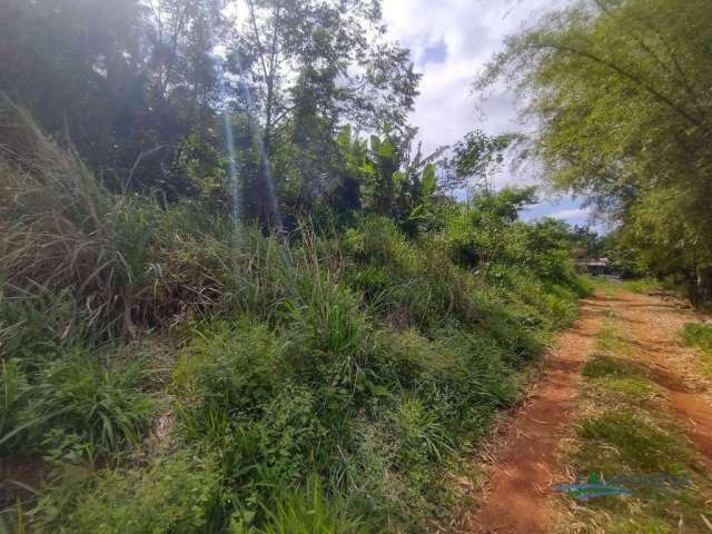 Terreno à venda, 2950 m² por R$ 250.000,00 - Condomínio Horizontal Marajoara - Ibiporã/PR