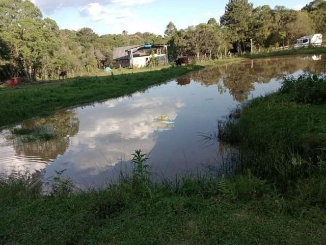 Chácara / sítio com 1 quarto à venda na Rua dos Batistas, 1, Bugre, Balsa Nova por R$ 399.000