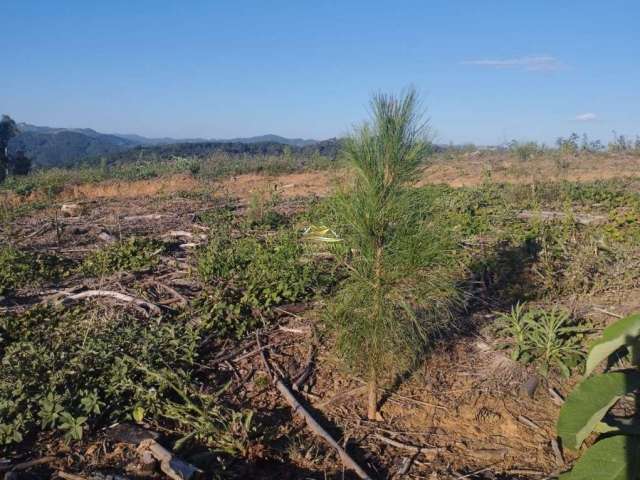 Chácara / sítio com 1 quarto à venda na Estrada Rural, 1, Centro, Campo Magro por R$ 1.600.000