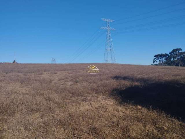 Chácara / sítio com 1 quarto à venda na Estrada do Felpudo, 1, Felpudo, Campo Largo por R$ 4.500.000