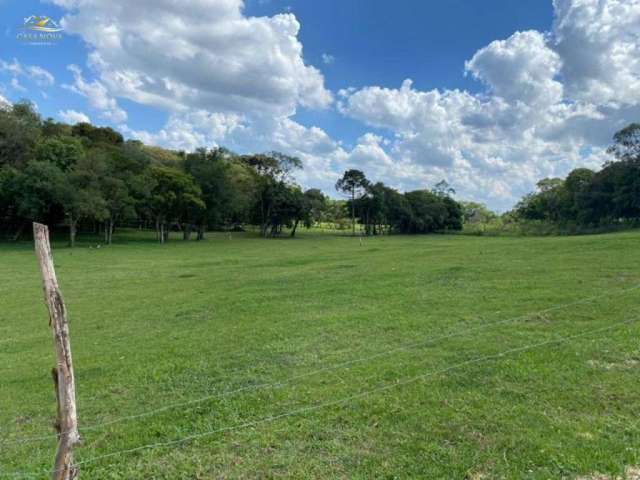 Terreno à venda na Rua Caetano Munhoz da Rocha, 1976, Ouro Verde, Campo Largo por R$ 830.000