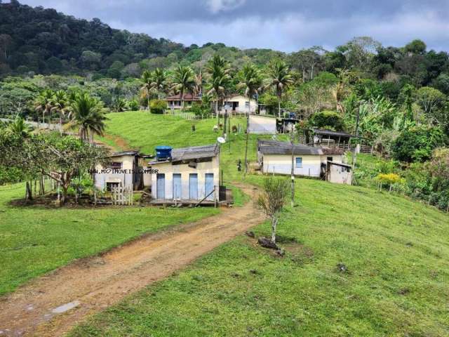 Fazenda para Venda em Ubaitaba, Zona Rural