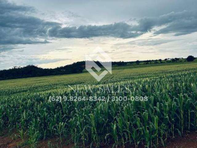 Fazenda na região de Araguaína-TO! 822 Hectares! OPORTUNIDADE DE MERCADO