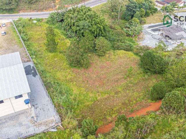 Terreno à venda, 5000 m² por R$ 1.650.000,00 - Fortaleza Alta - Blumenau/SC