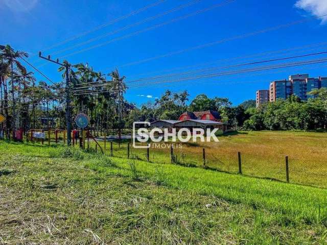 Terreno à venda, 10400 m² por R$ 15.000.000,00 - Itoupava Central - Blumenau/SC