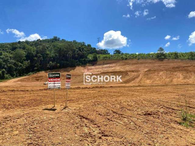 Terreno à venda, 2132 m² por R$ 746.270,00 - Estradinha - Indaial/SC