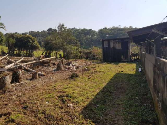 Terreno para alugar, 700 m² por R$ 1.100,00/mês - Itoupava Central - Blumenau/SC