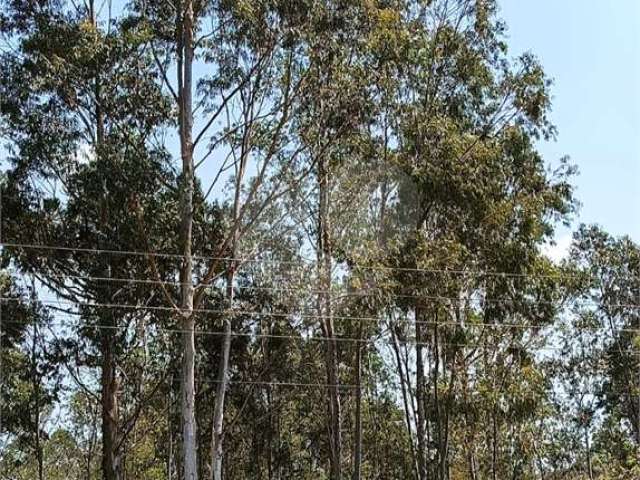 Terreno à venda em Cachoeira - SP