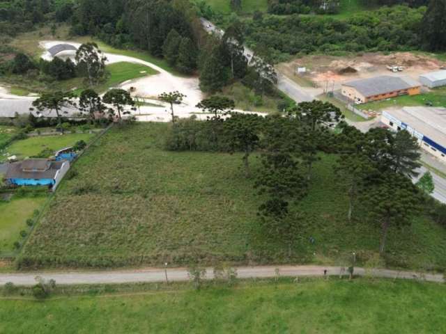 Terreno à venda, 5000 m² por R$ 1.150.000,00 - Centro - Campo Alegre/SC