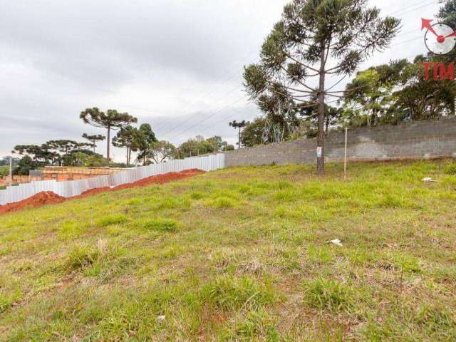 Terreno à venda, 290 m² por R$ 455.000,00 - Santa Cândida - Curitiba/PR