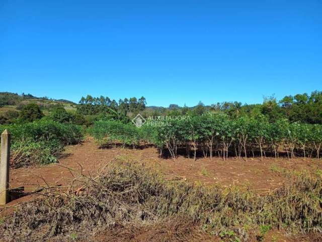 Terreno à venda na Alberto Rubenich, 4, Travessão, Dois Irmãos, 1144 m2 por R$ 270.000