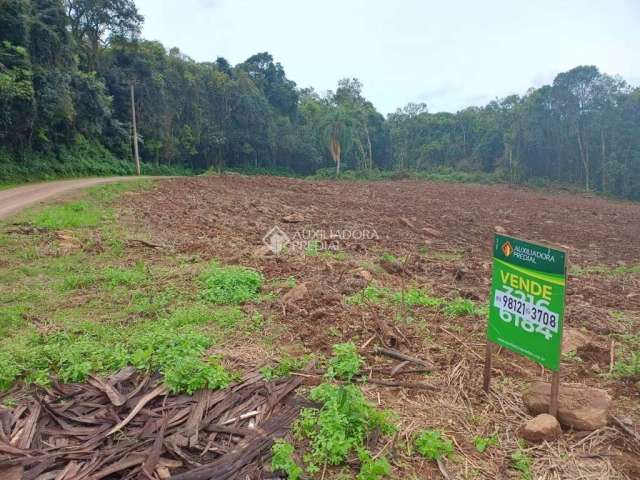 Terreno à venda na Vicente Prieto, 100, Pinhal Alto, Nova Petrópolis, 15728 m2 por R$ 255.000