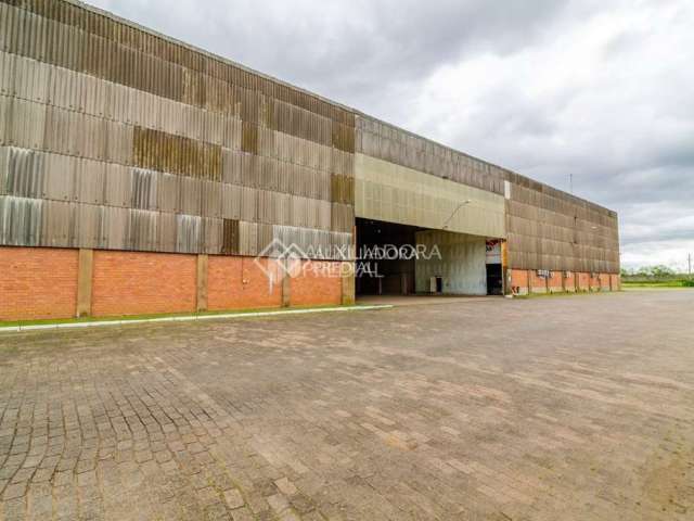 Barracão / Galpão / Depósito para alugar na Avenida Severo Dullius, 1995, São João, Porto Alegre, 2000 m2 por R$ 21.000