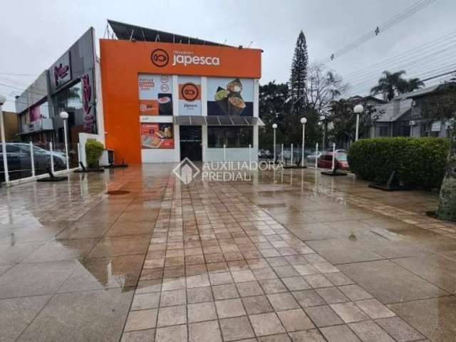 Ponto comercial para alugar na Avenida Wenceslau Escobar, 1787, Tristeza, Porto Alegre, 500 m2 por R$ 30.000