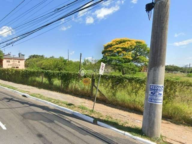 Terreno comercial para alugar na Avenida Baltazar de Oliveira Garcia, 1644, Costa e Silva, Porto Alegre, 1354 m2 por R$ 10.115