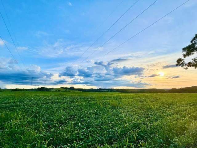 Chácara / sítio com 2 quartos à venda na RUA COLONIA CACHOEIRA, 000, Zona Rural, São Mateus do Sul, 217800 m2 por R$ 2.400.000