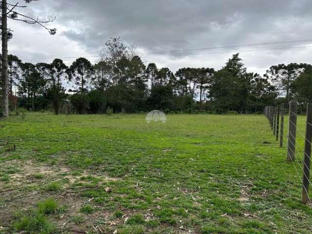 Terreno à venda na Rua Bernardo Guimarães, 000, Colônia Dona LuÍza, Ponta Grossa por R$ 550.000