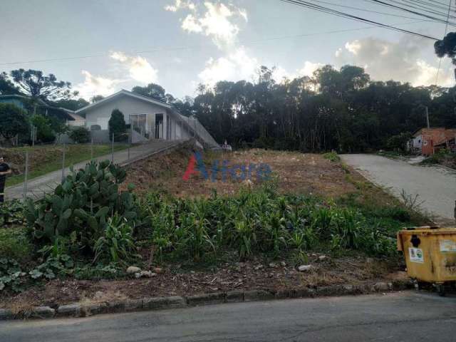 Terreno - União - Flores da Cunha