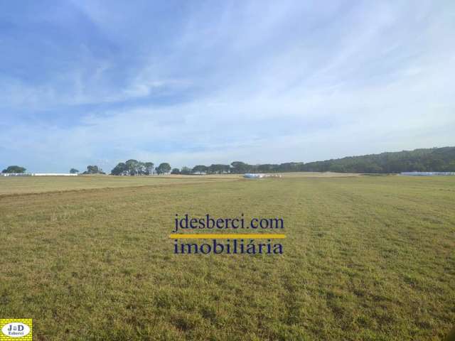 Sítio / Chácara no Rural em Holambra