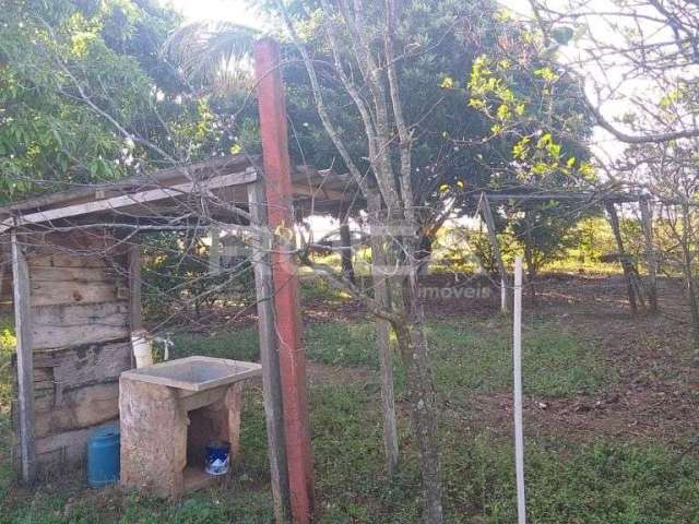 Chácara / sítio com 1 quarto à venda no Quinta dos Buritis, São Carlos , 40 m2 por R$ 320.000