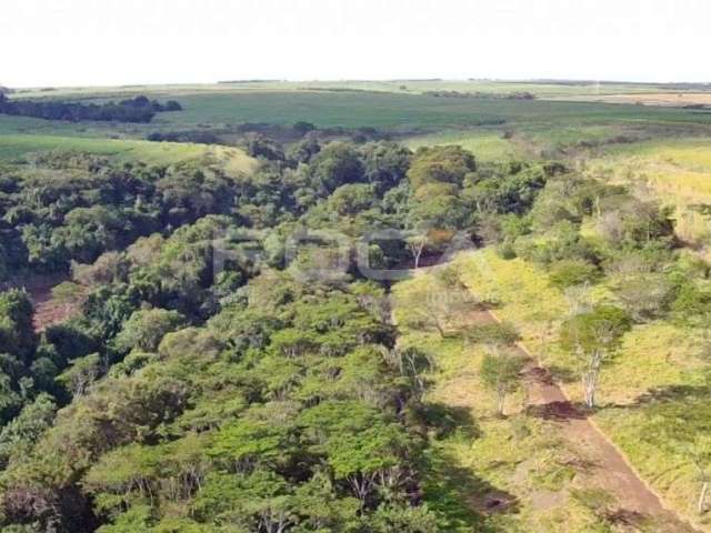 Chácara / sítio com 3 quartos à venda na Área Rural de São Carlos, São Carlos , 13 m2 por R$ 4.336.000