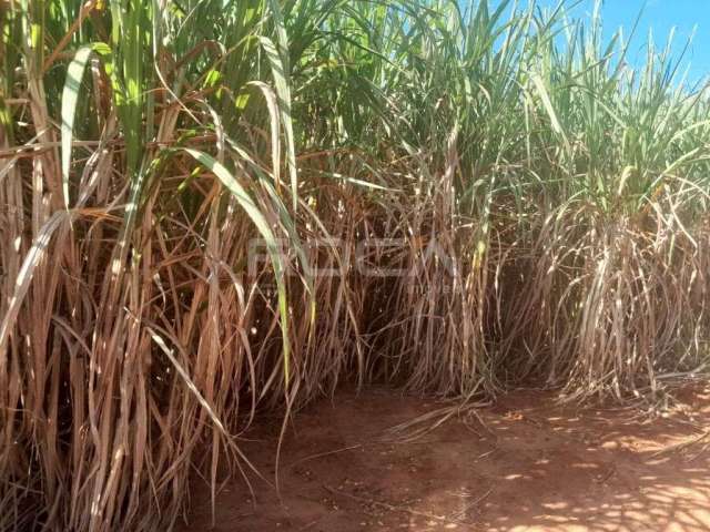 Encantador sítio à venda em São Carlos - Imóvel rural com preço imperdível!