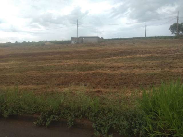 vende terreno no  jd primavera  em floresta parana