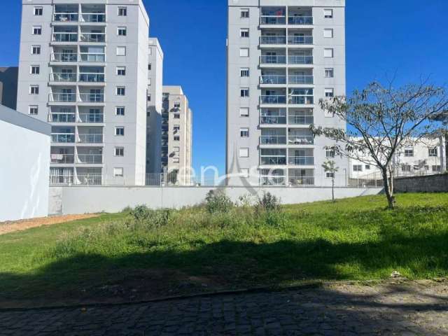 Terreno para venda, Vinhedos, Caxias Do Sul - TE8254