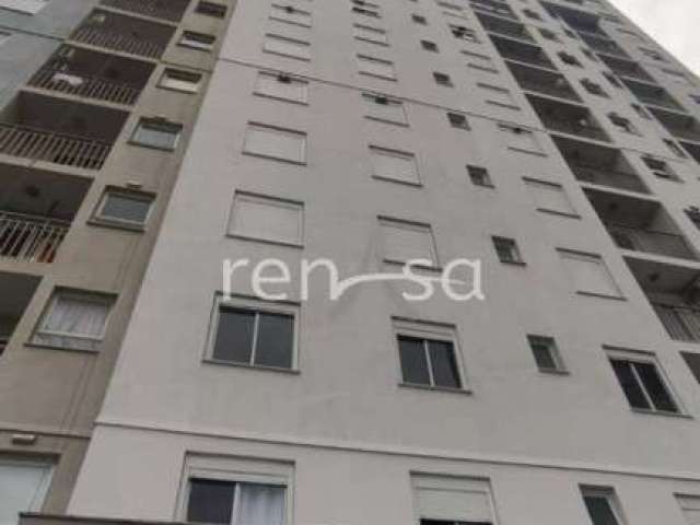 Apartamento, 03 quarto(s), De Lazzer, Caxias do Sul - 8691