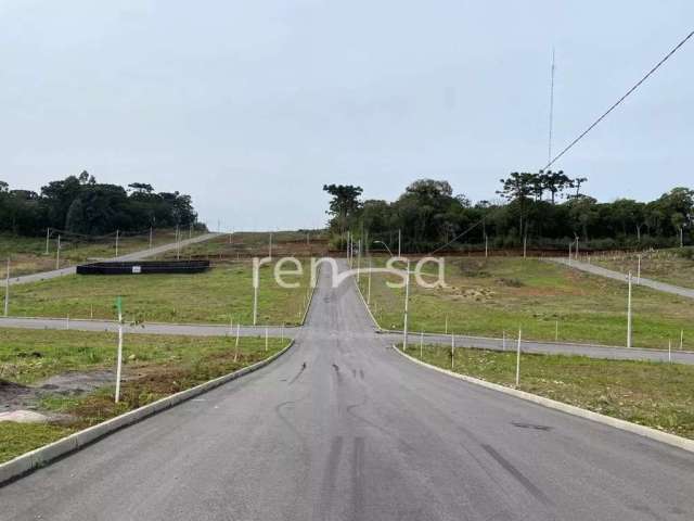 Terreno, Nossa Senhora da Saúde, Caxias do Sul - 8196