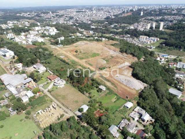 Terreno, São Luiz, Caxias do Sul - 8190