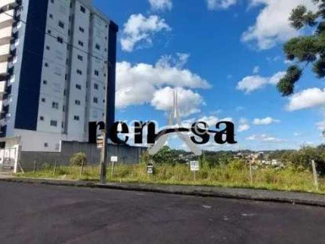 Terreno, Vila Verde, Caxias do Sul - 8166