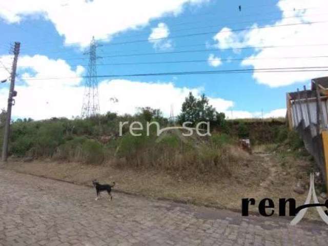 Terreno, Nossa Senhora da Saúde, Caxias do Sul - 8028