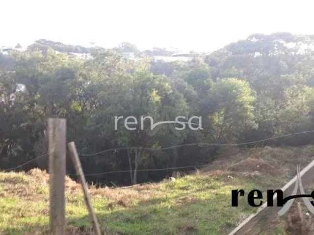 Terreno para Venda, Vila Horn, Caxias do Sul - 7462