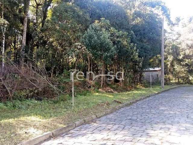 Terreno, Bela Vista, CAXIAS DO SUL - 6846