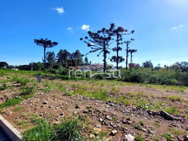 Terreno para venda,  Desvio Rizzo, Caxias Do Sul - TE8526