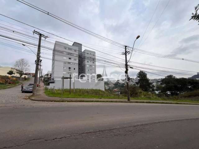 Terreno Avenida para venda, Cruzeiro, Caxias Do Sul - TE8608