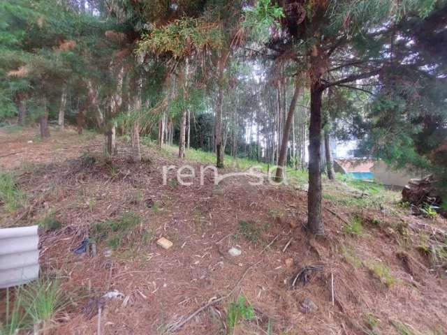 Terreno para venda, Colina Sorriso, Caxias Do Sul - TE8612