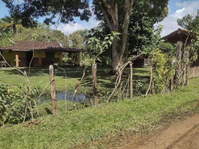 Rural - Chácara, para Venda em Ilhéus/BA