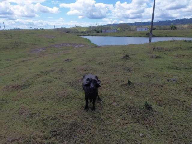 Rural - Fazenda, para Venda em Ilhéus/BA