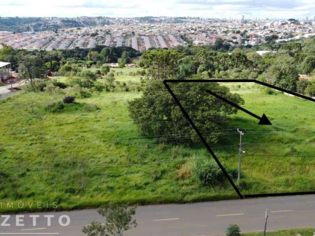 Oportunidade única! terreno com 5.000m² no contorno