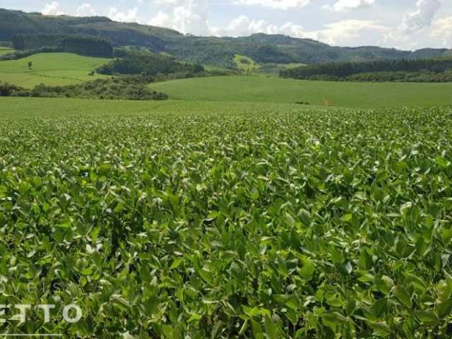 Venda de Fazenda em Piraí do Sul - Oportunidade Imperdível!