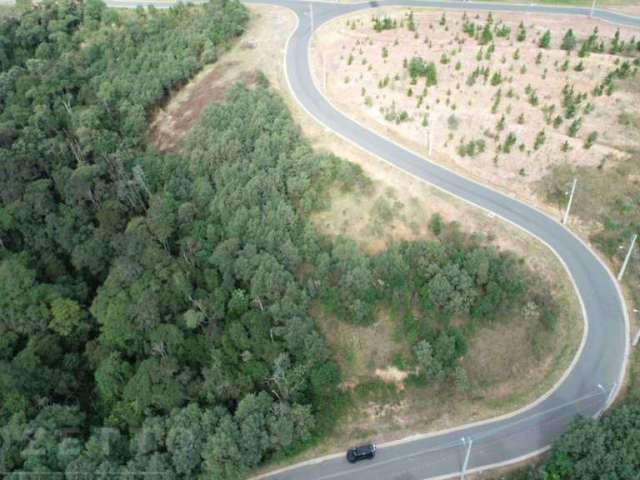 Terreno para Venda em Almirante Tamandaré, Planta Almirante