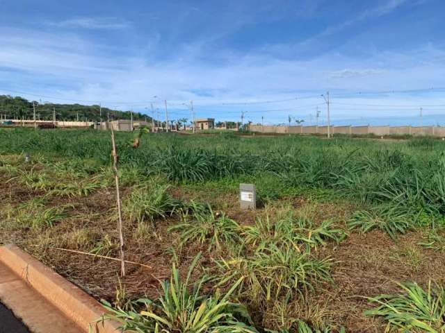 Terreno em  condomínio fechado, ilha, plano