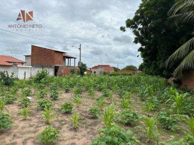 Terreno à venda, 87 m² por R$ 110.000,00 - Fortim - Fortim/CE