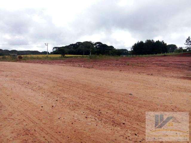 Terreno para Venda em São José dos Pinhais, Campo Largo da Roseira