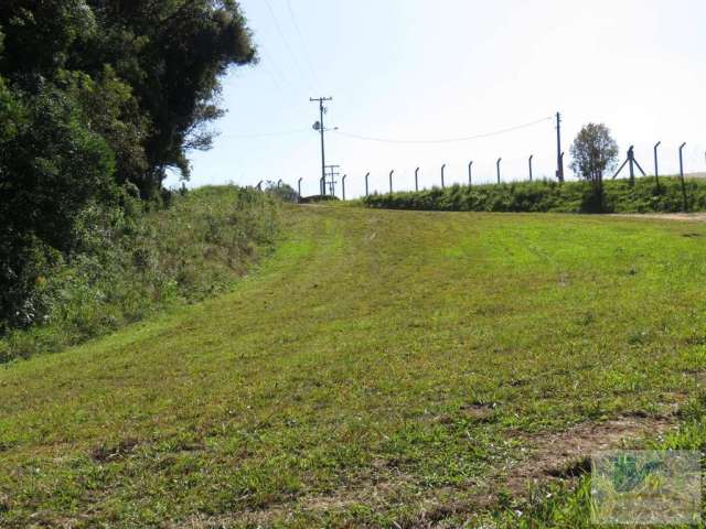 Terreno para Venda em São José dos Pinhais, Colonia Murici